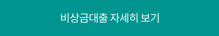 비상금대출 자세히보기